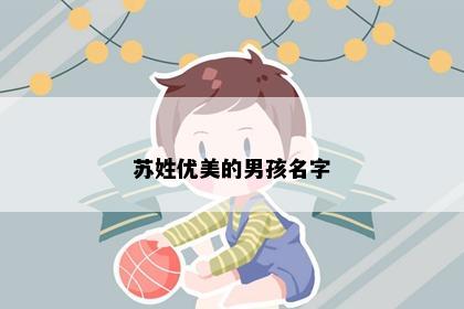 苏姓优美的男孩名字